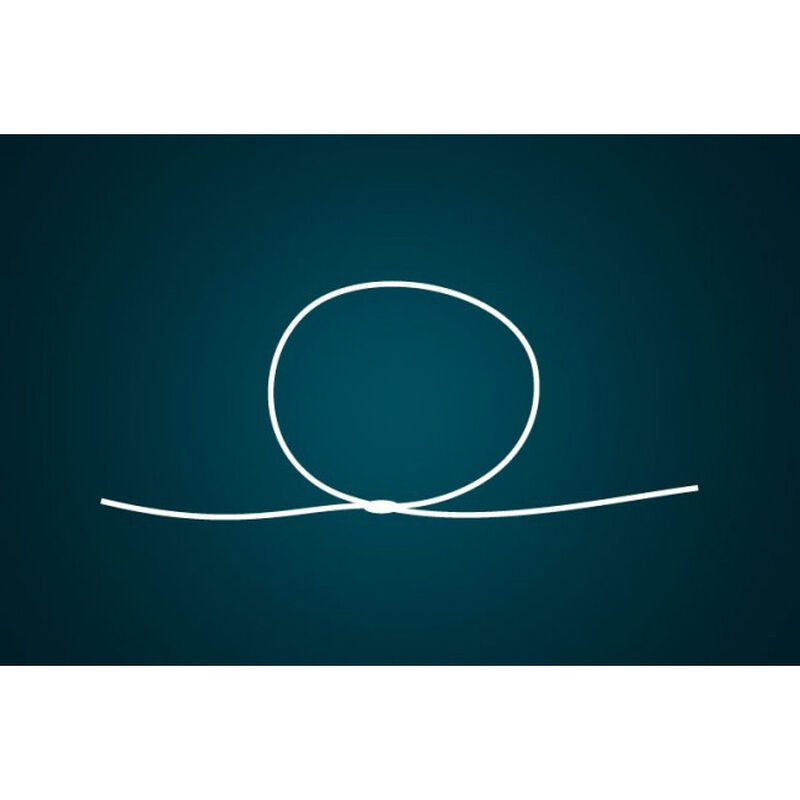 Stop appât carpe korda bait floss - Stop appât | Pacific Pêche