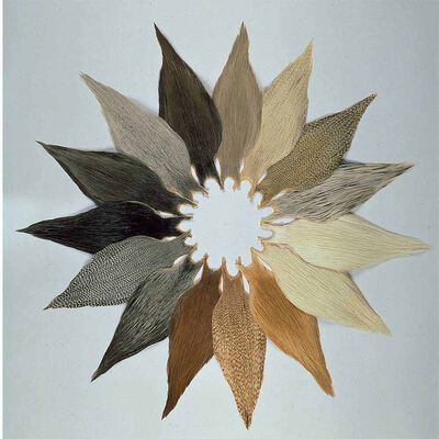 Fly tying plumes 1/2 cou metz grade 2 teint - Plumes | Pacific Pêche