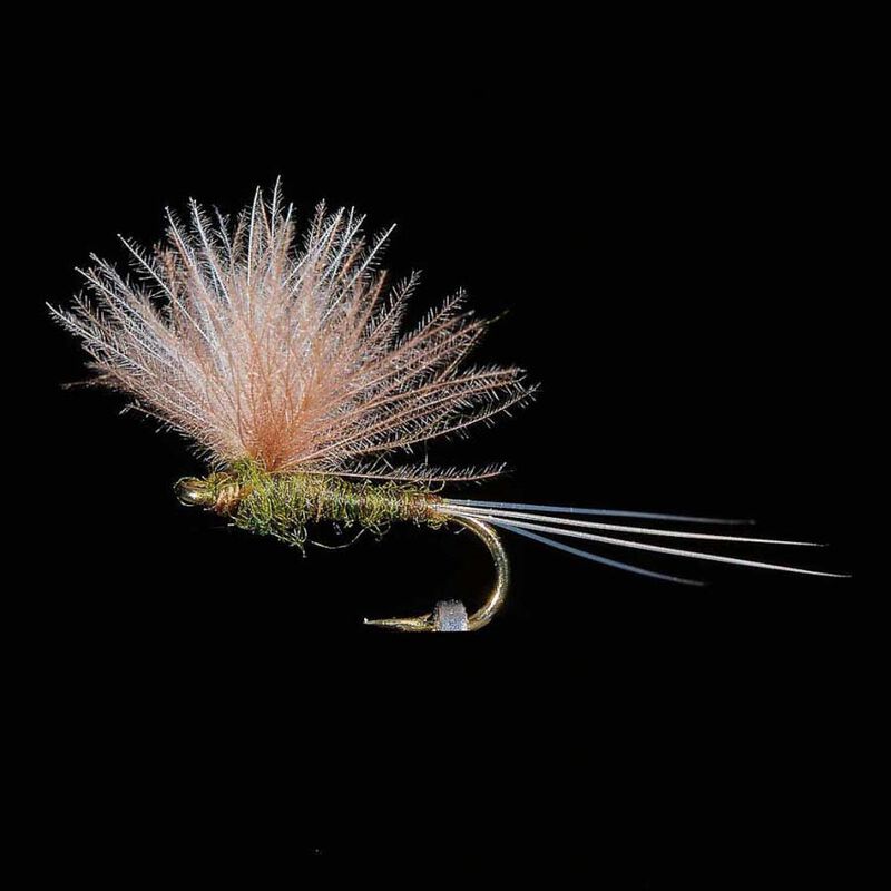 Emergente JMC 21 H18 (x3) - Emergentes | Pacific Pêche