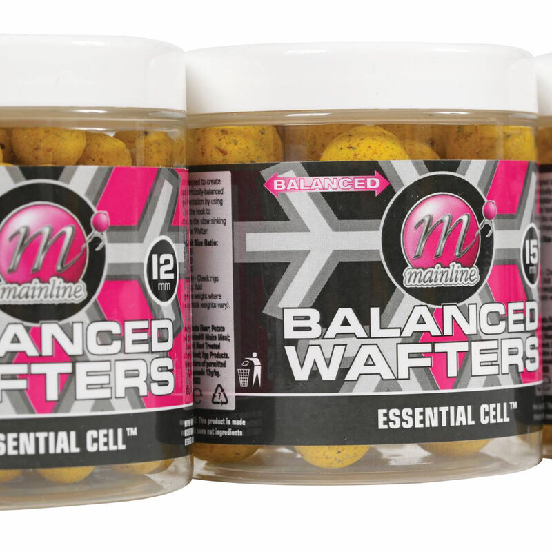 Bouillettes Equilibr&eacute;es Mainline Essential Cell - Equilibr&eacute;es | Pacific P&ecirc;che