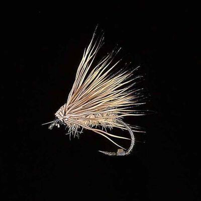 Sedge Chevreuil clair H14 (x3) - Sèches | Pacific Pêche