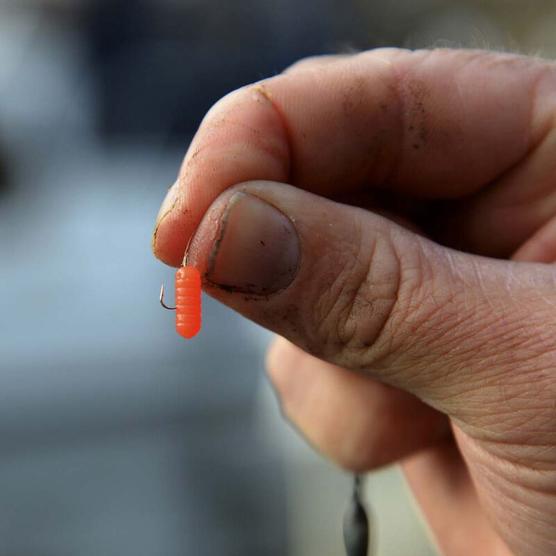 Appâts Artificiels Cresta Spaghetti Worms (x8) - Appâts artificiels | Pacific Pêche