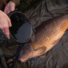 Seau Korda Compac Water Bucket - Seau Souple | Pacific P&ecirc;che