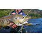 Leurre dur jerkbait carnassier smith d contact 50 5cm 4,5g - Jerkbaits | Pacific P&ecirc;che