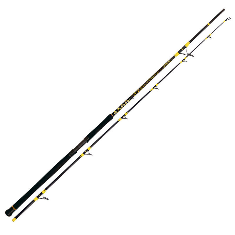 Canne leurre silure black cat passion pro dx spin 2.70m 60-200g - Cannes Leurre | Pacific P&ecirc;che