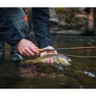 Canne HARDY Ultralite X 10' soie 8 (4 brins) - Cannes | Pacific P&ecirc;che