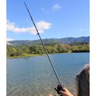 Canne &agrave; carpe mack2 lady falcon 10' 3lbs - Cannes &le;11' | Pacific P&ecirc;che