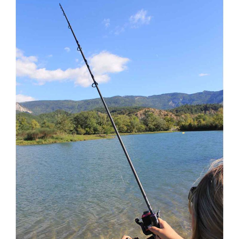 Canne &agrave; carpe mack2 lady falcon 10' 3lbs - Cannes &le;11' | Pacific P&ecirc;che