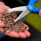 Ciseaux Double Blade Wormchopper Cresta - Pinces et Ciseaux | Pacific Pêche