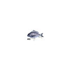 Leurre Little Jack Charikom 8,2cm - Leurres poissons nageurs | Pacific Pêche