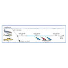 Ligne de traine mer flashmer sardine a bar - Bas de Lignes / Lignes Mont&eacute;es | Pacific P&ecirc;che