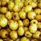 Graines sèches carpe active baits tiger nuts jumbo - Sèches | Pacific Pêche