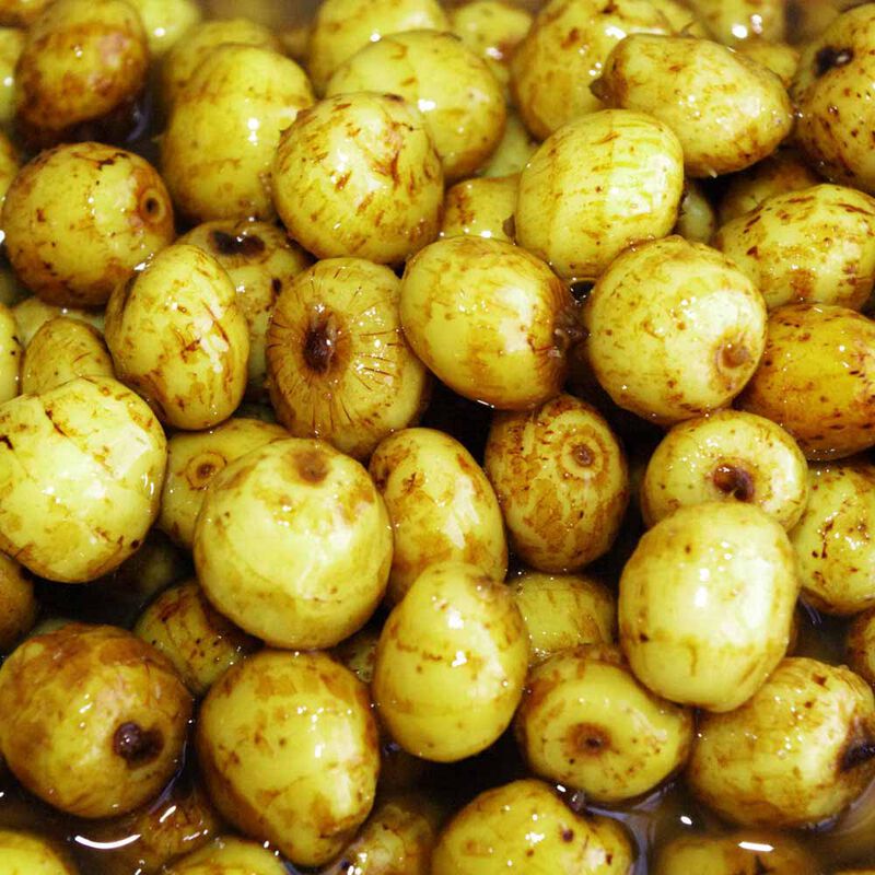 Graines sèches carpe active baits tiger nuts jumbo - Sèches | Pacific Pêche