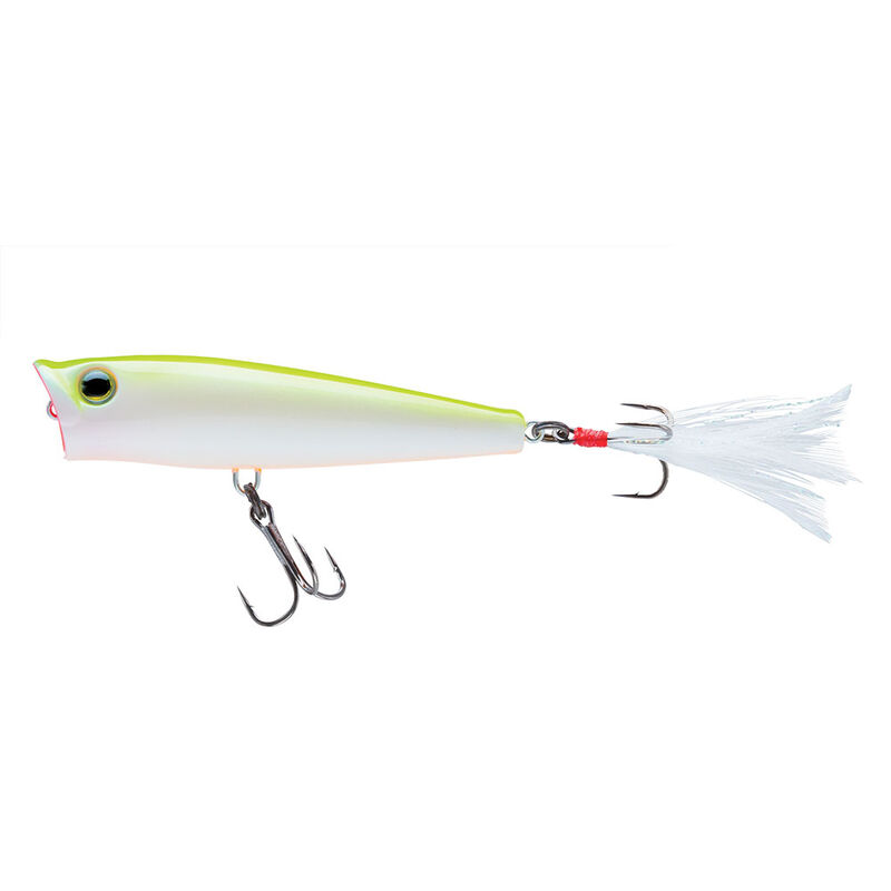 Topwater Popper Leurres Pour Bar Et Brochet – Leurres De