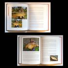 Livre Hoogendijk Journal d'un p&ecirc;cheur de carpe - Livre | Pacific P&ecirc;che