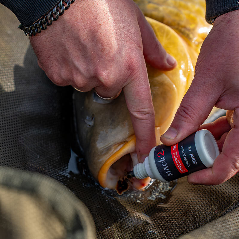 D&eacute;sinfectant et Cicatrisant Mack2 au Propolis - Soin du poisson | Pacific P&ecirc;che
