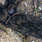 Epuisette carpe mack2 xanthor landing net - Epuisettes | Pacific P&ecirc;che
