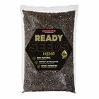 Graines Cuites Starbaits Ready Seed Hemp - Pr&ecirc;tes &agrave; l'emploi | Pacific P&ecirc;che