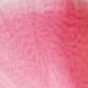 Couleurs