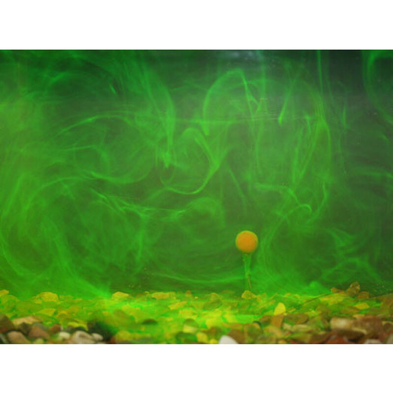 Booster Carpe Goo Spicy Squid Smoke - Boosters / dips | Pacific P&ecirc;che