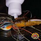 Attractant Pro-cure Super Gel 56g - Attractants | Pacific P&ecirc;che