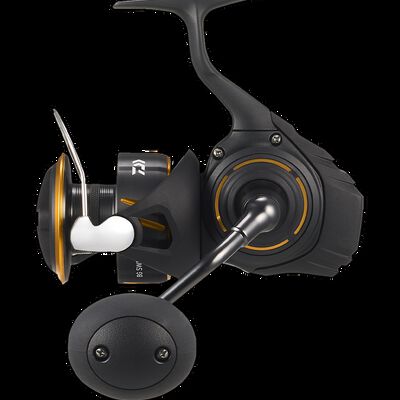 Moulinet Daiwa BG 27 SW 5000 H - Moulinets tambour Fixe | Pacific P&ecirc;che