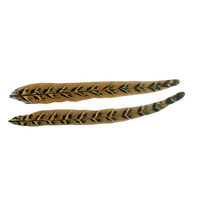 Fly tying plumes jmc queue de faisane - Plumes | Pacific P&ecirc;che