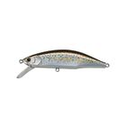 Leurre Dur Jerkbait Jackson Meteora Ryusei 63 6.3cm, 7.5g - Jerkbaits | Pacific P&ecirc;che