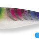 Couleurs
