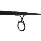Canne L&eacute;on Hoogendijk Black Diamond NG 12' 5 lbs - Cannes 12' | Pacific P&ecirc;che