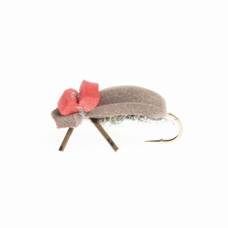 Mouche s&egrave;che silverstone scarab&eacute; beige h12 (x3) - S&egrave;ches | Pacific P&ecirc;che