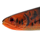 Leurre Souple Shad Westin ShadTeez Slim V2 22cm, 53g - Shads | Pacific P&ecirc;che