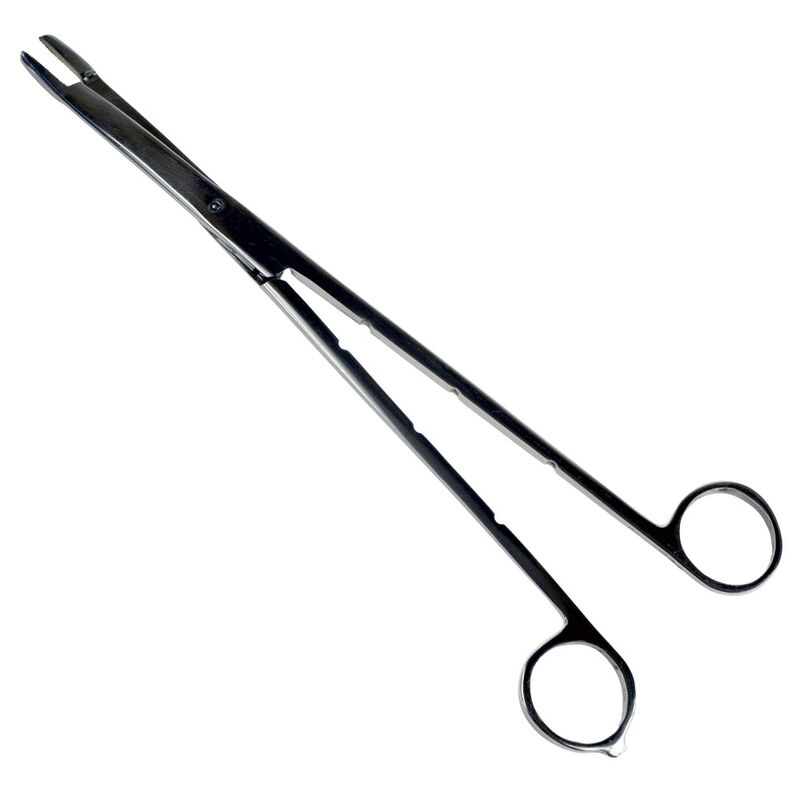 Ciseaux pince carnassier pafex inox 25cm - Outillages | Pacific P&ecirc;che