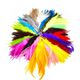 Couleurs