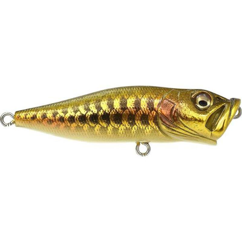 Leurre dur Popper Megabass Pop X 6.4cm, 7g - Surface | Pacific P&ecirc;che