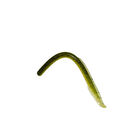 Leurre Souple Reins Swamp Eel 8 - Leurres souples | Pacific P&ecirc;che