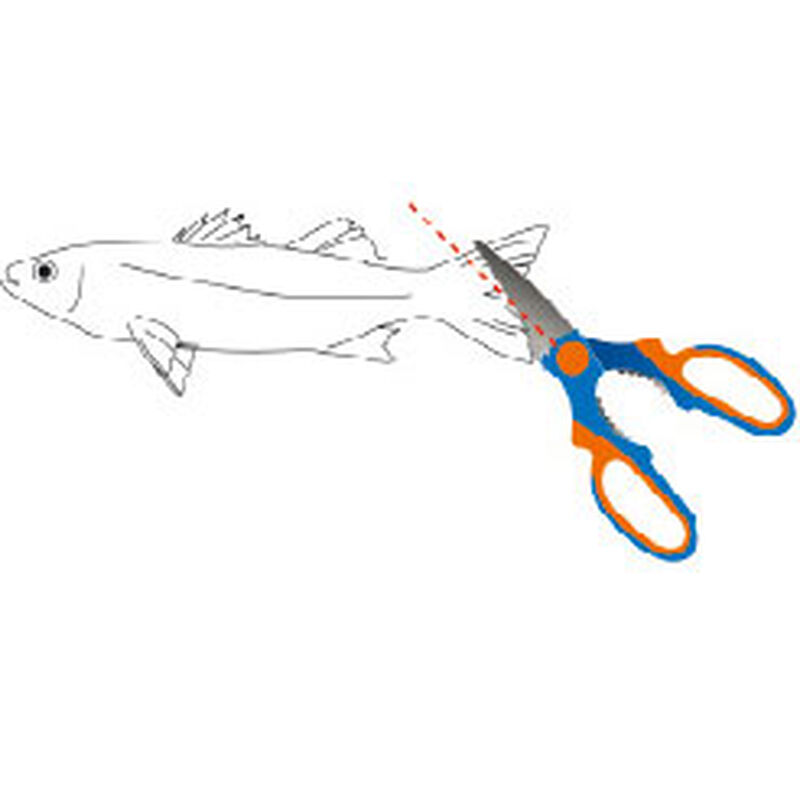 Ciseaux flashmer coupe queues - Ciseaux/Coupes fil | Pacific P&ecirc;che