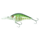Kit Leurres Durs Redfish 10 Crankbaits - D&eacute;couverte P&ecirc;che du Carnassier | Pacific P&ecirc;che