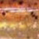 Couleurs