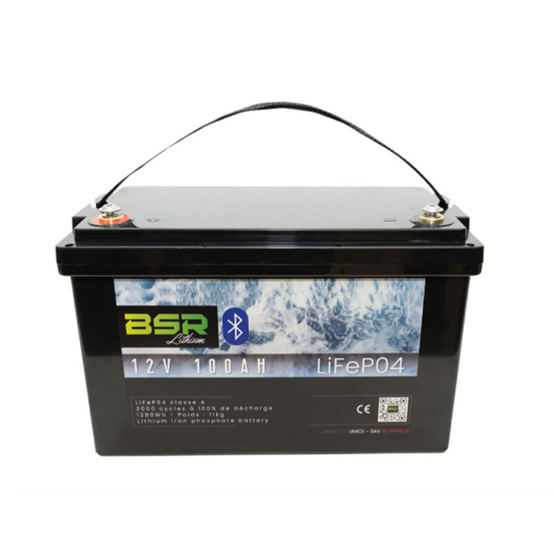 Batterie Lithium Bac Monobloc BSR LifePo4 12V / 100Ah + Chargeur non-&eacute;tanche 10A - Batteries | Pacific P&ecirc;che