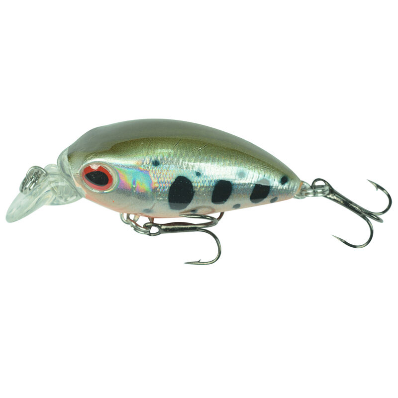 Kit Leurres Durs Redfish 10 Crankbaits - D&eacute;couverte P&ecirc;che du Carnassier | Pacific P&ecirc;che