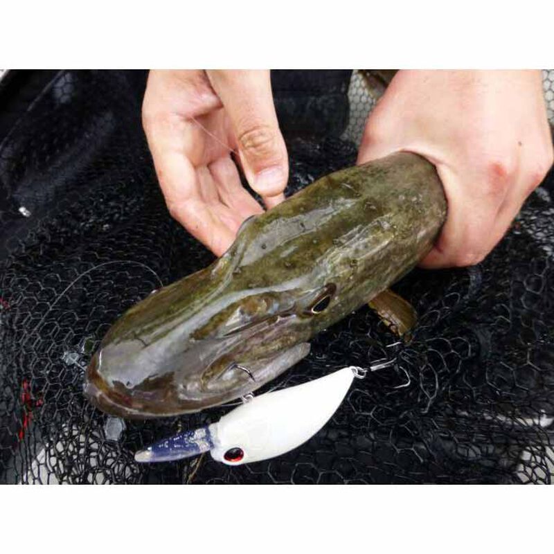 Leurre Dur Crankbait Duo Realis Crank M65 11A 6.5cm, 16g - Crankbaits | Pacific P&ecirc;che