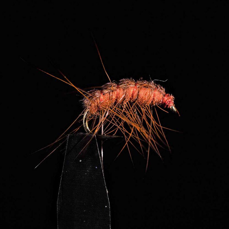 Gammare JMC BM22 H14 (x3) - Nymphes | Pacific P&ecirc;che