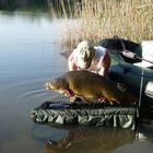 Tapis de r&eacute;ception carpe mack2 accurate carp cradle - Tapis r&eacute;ception | Pacific P&ecirc;che