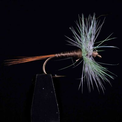 Araign&eacute;e JMC 602 H14 (x3) - S&egrave;ches | Pacific P&ecirc;che