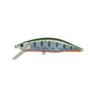 Leurre Dur Jerkbait Jackson Meteora 5.2cm, 5.5g - Jerkbaits | Pacific P&ecirc;che