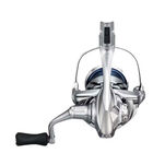Moulinet Spinning Shimano Stradic FM C3000 XG - Moulinets Spinning | Pacific P&ecirc;che