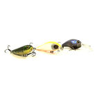 Pack Bzone STK Perch (x3) - Poissons Nageurs | Pacific P&ecirc;che
