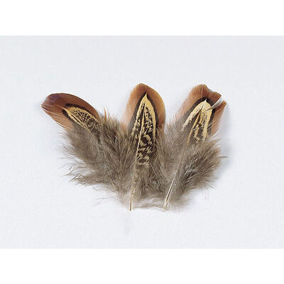 Fly tying plume de faisan jmc - Plumes | Pacific P&ecirc;che