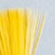 Couleurs